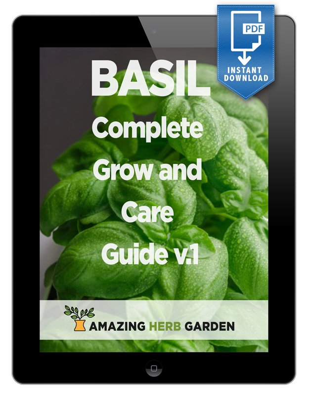 picture of our basil free complete grow and care guide pdf ebook