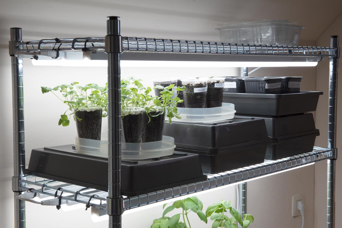 how-to-build-your-own-diy-seed-starting-grow-light-system-station-8