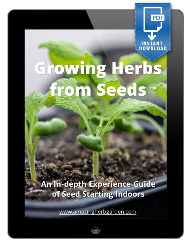 how-to-grow-herbs-from-seeds-ebook